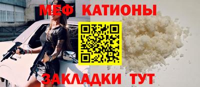 крисы Славгород