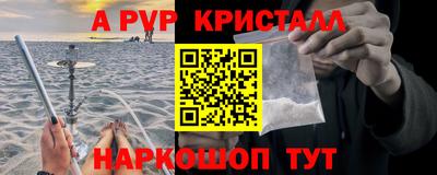 крисы Славгород