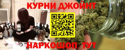 крисы Славгород