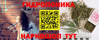 ECSTASY Сланцы