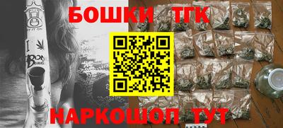крисы Славгород