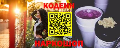 крисы Славгород