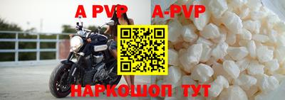 крисы Славгород